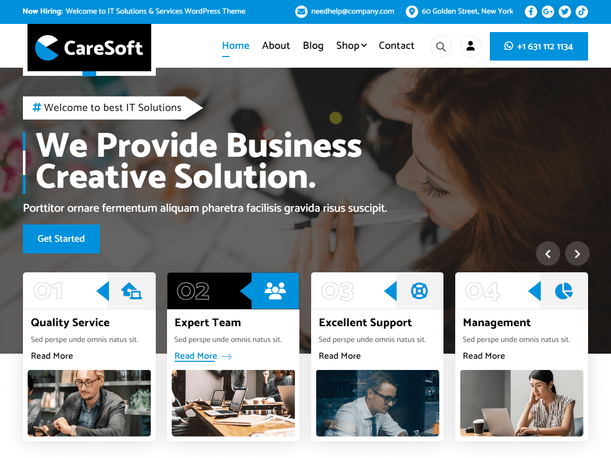 CareSoft WordPress 主题