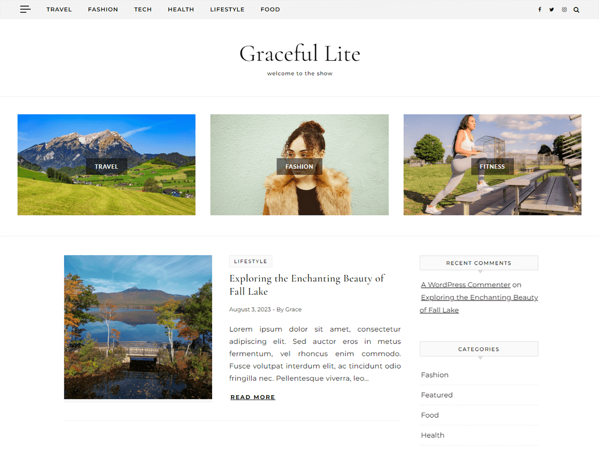 Graceful Lite WordPress 主题