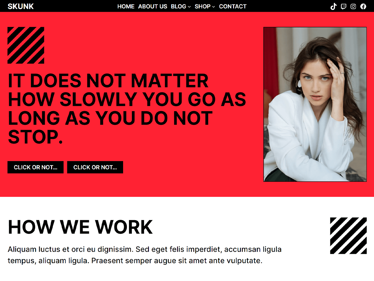 Skunk WordPress 主题