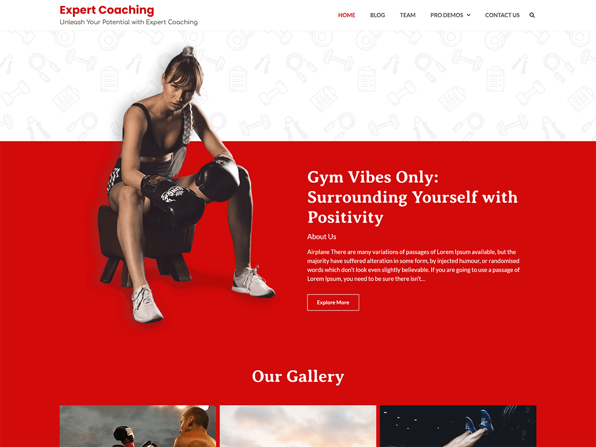 Expert Coaching WordPress 主题