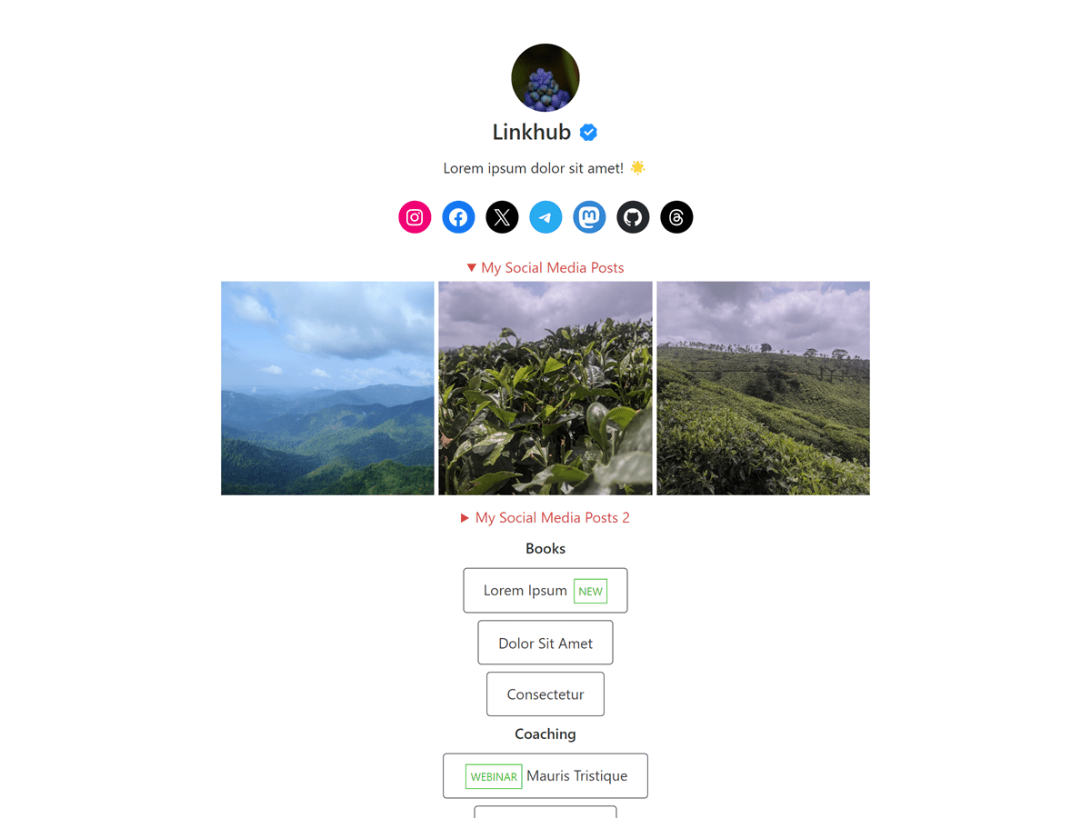 Linkhub WordPress 主题