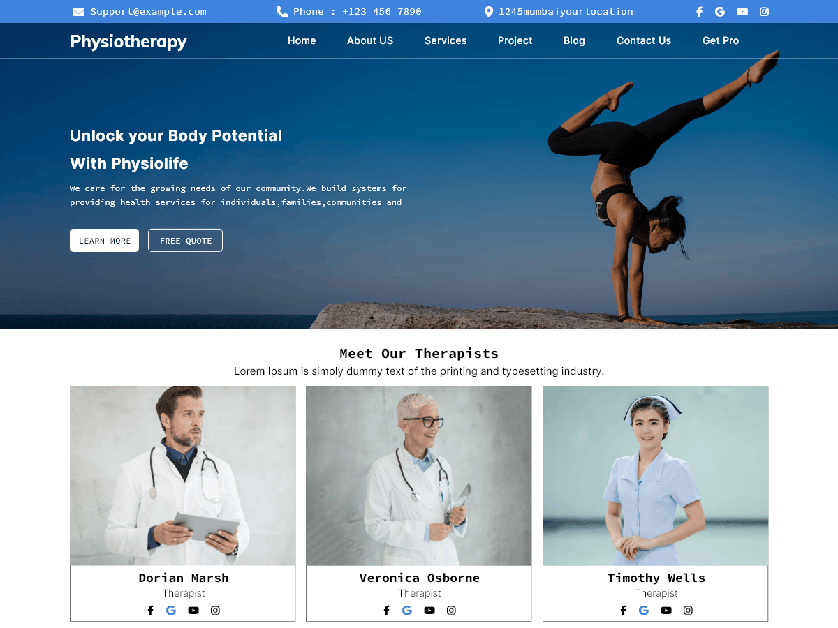Physiotherapy Clinic WordPress 主题