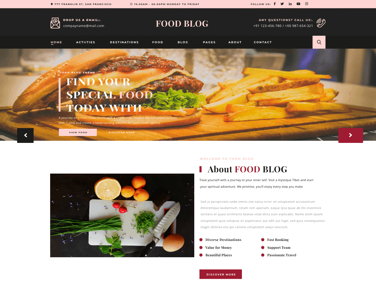 Expert Food Blog WordPress 主题