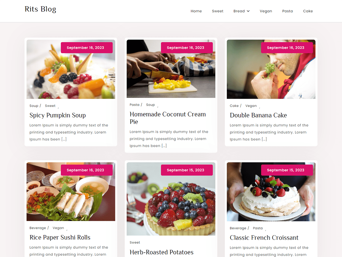 Rits Blog WordPress 主题