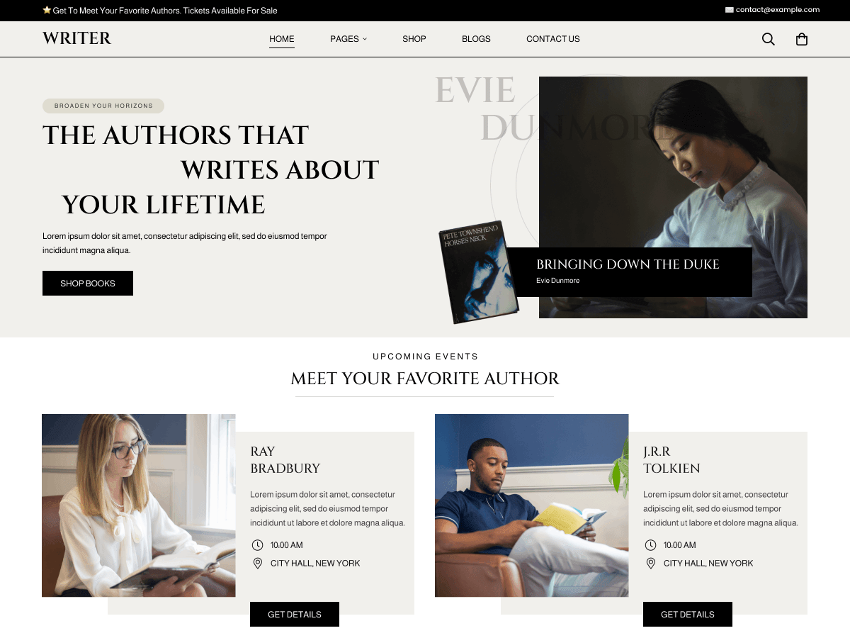 Novel Writer WordPress 主题