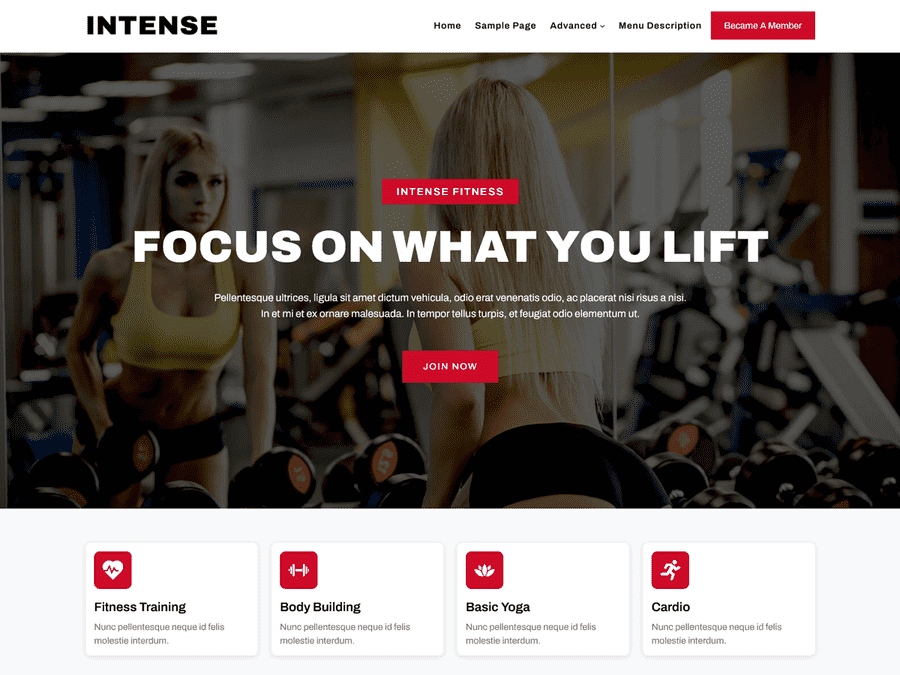 Intense WordPress 主题