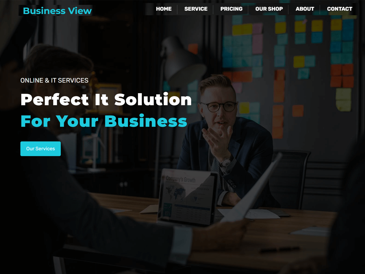 Business View WordPress 主题