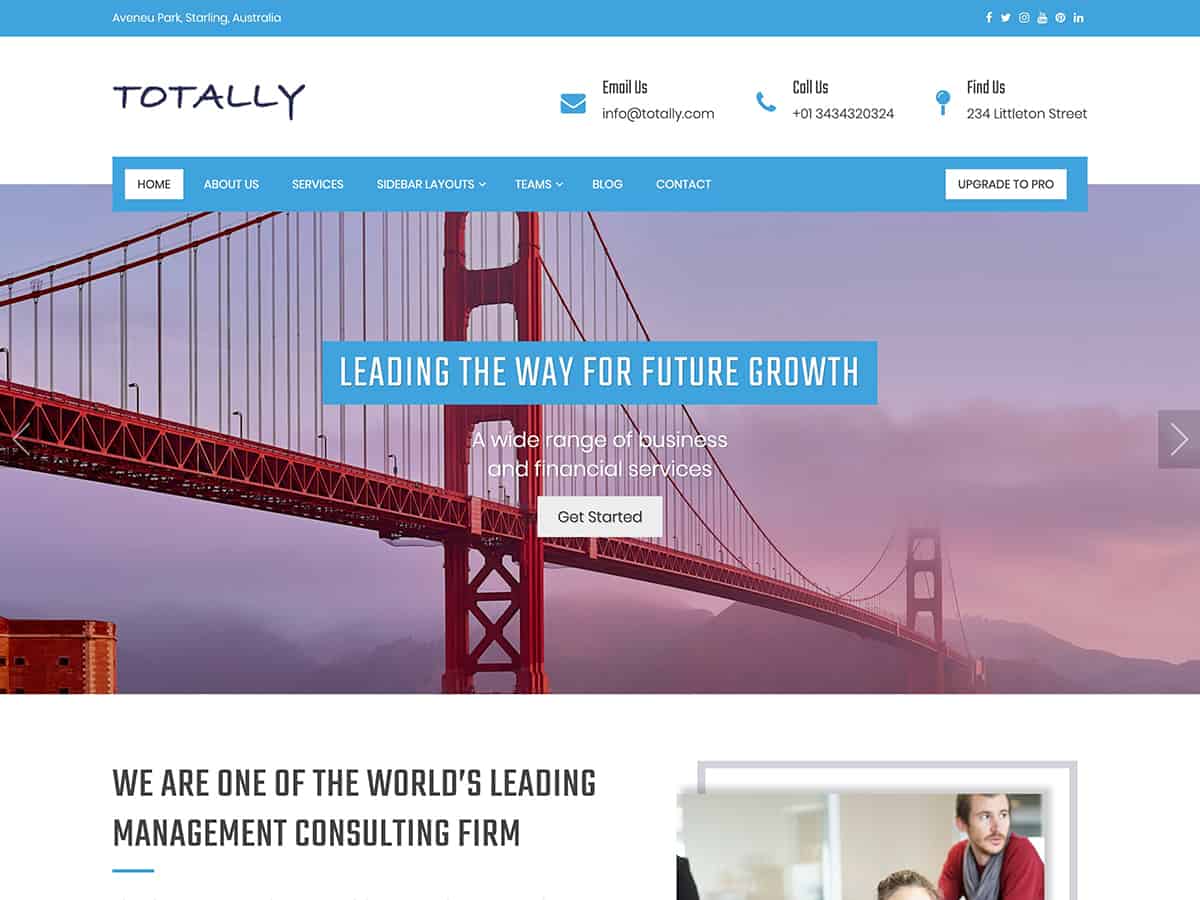 Totally WordPress 主题