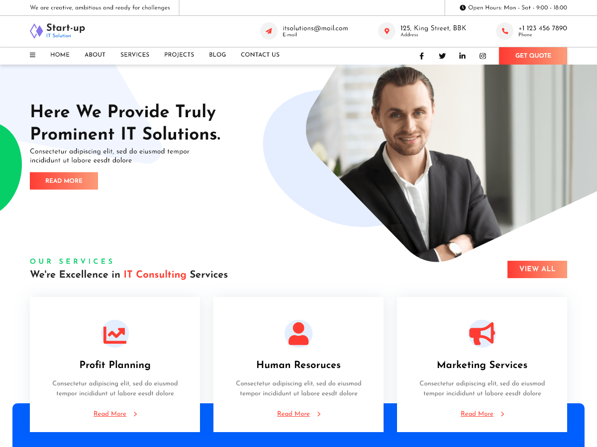 Elemento Startup WordPress 主题