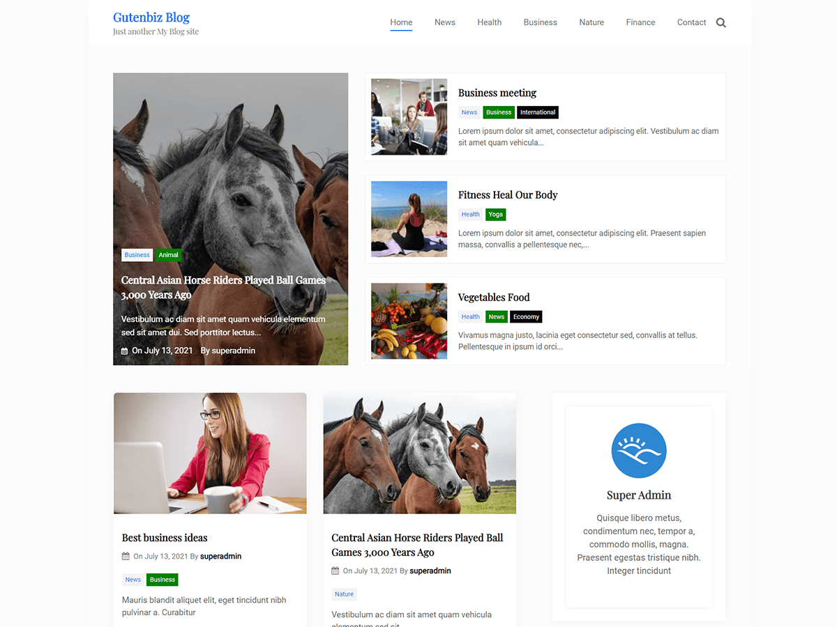 Gutenbiz Blog WordPress 主题