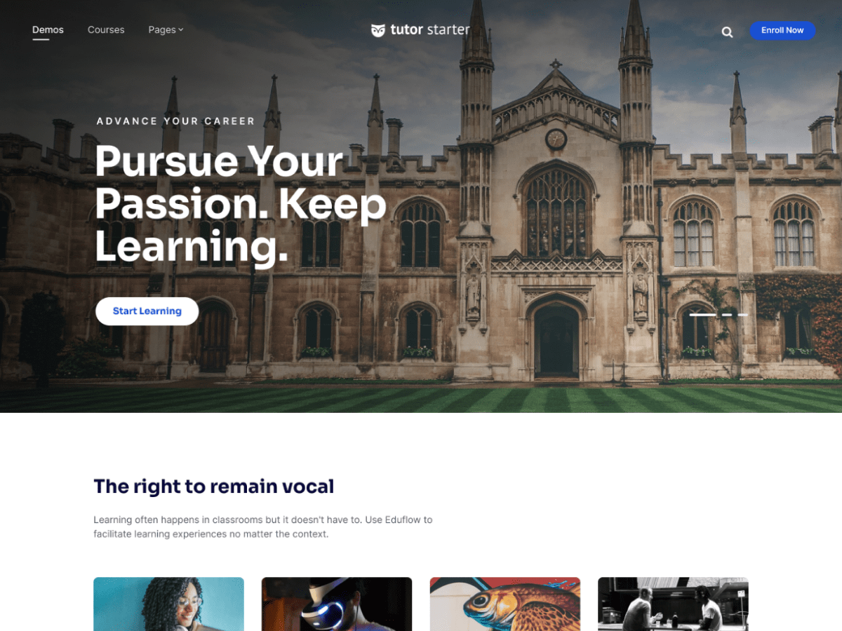 TutorStarter WordPress 主题