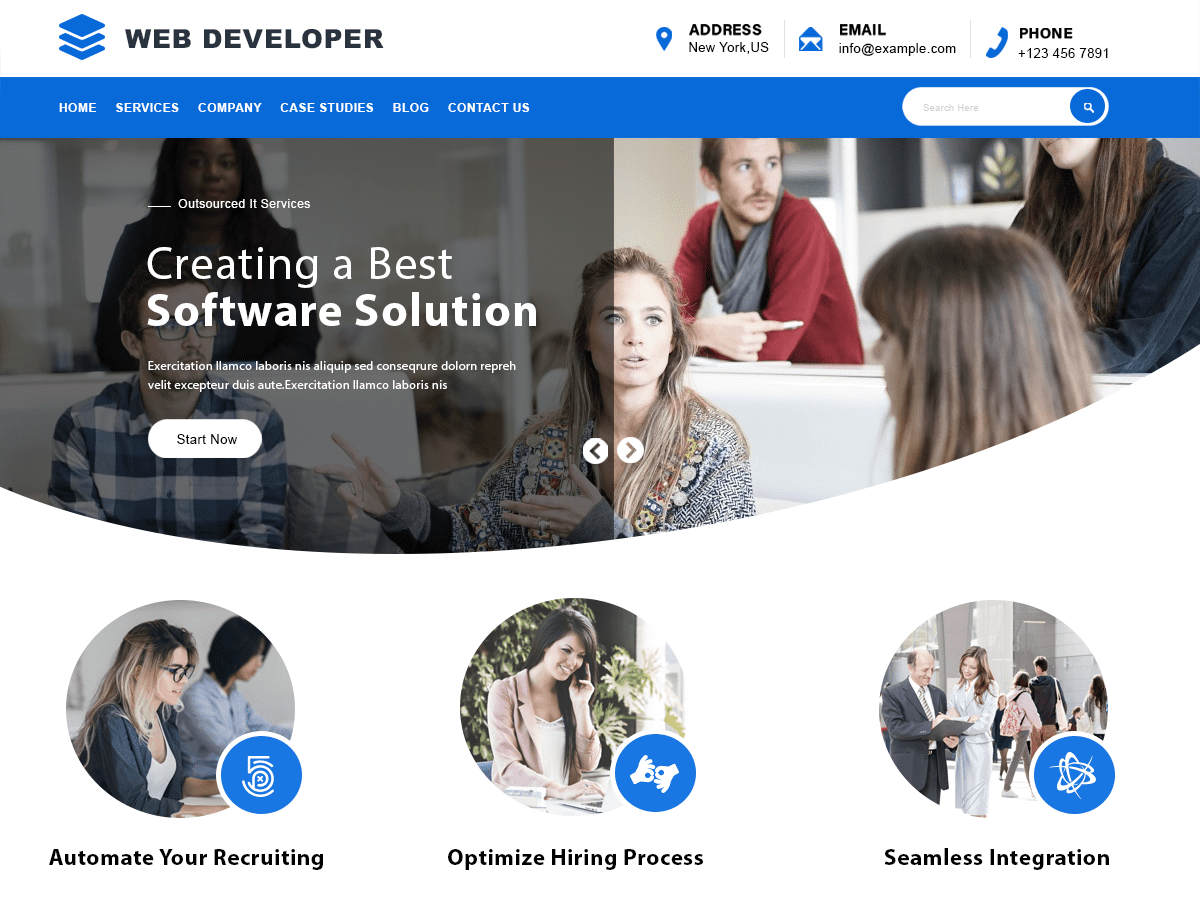 Web Developer WordPress 主题