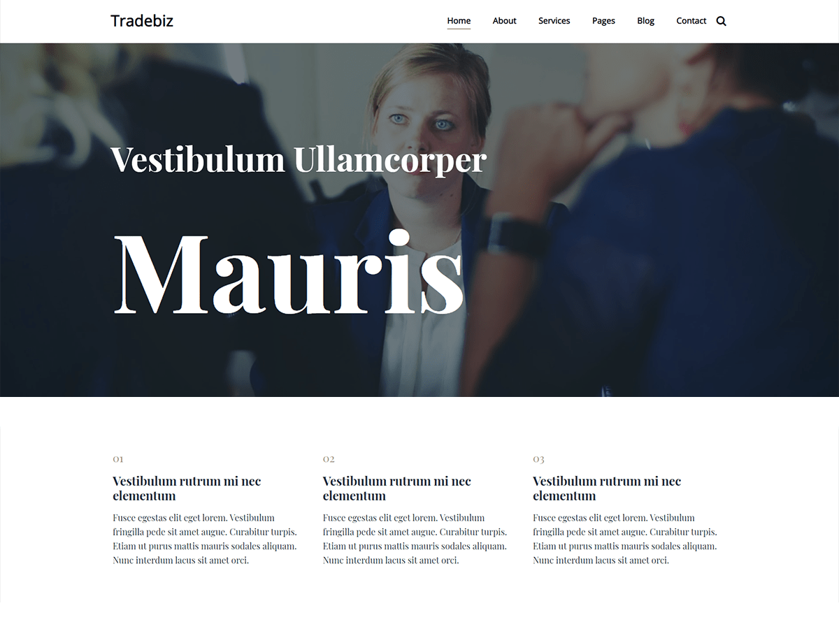 Tradebiz WordPress 主题