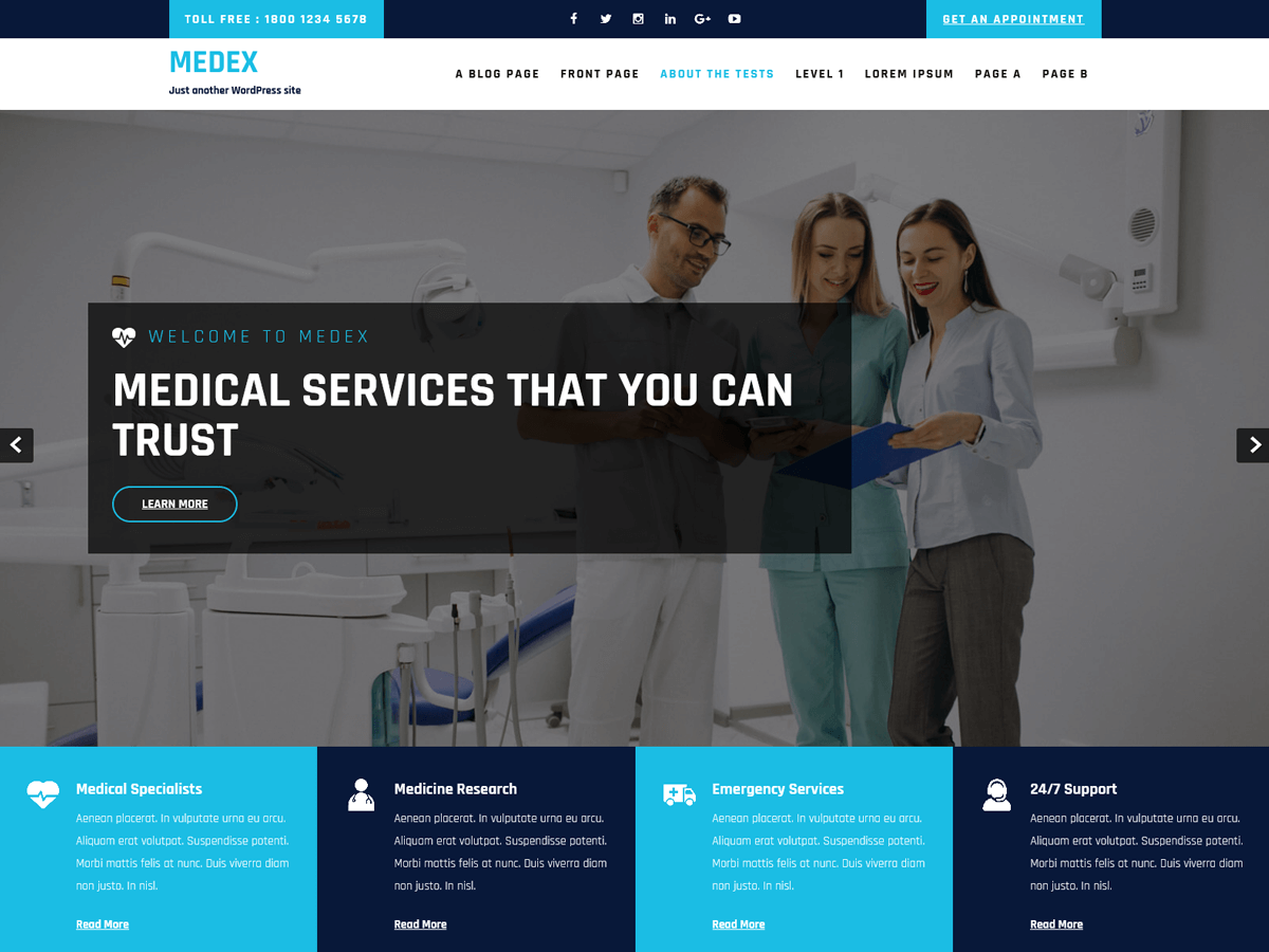 Medex Lite WordPress 主题