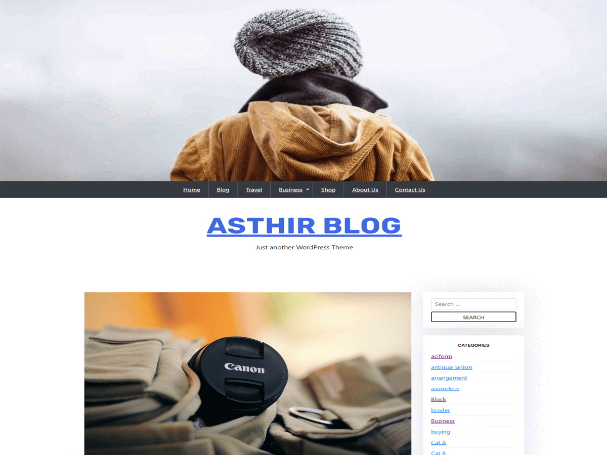 Asthir Blog WordPress 主题