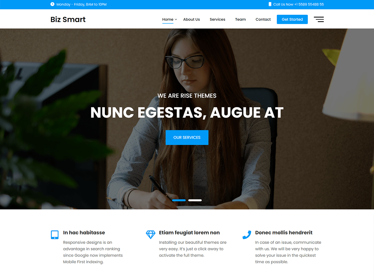 BizSmart WordPress 主题