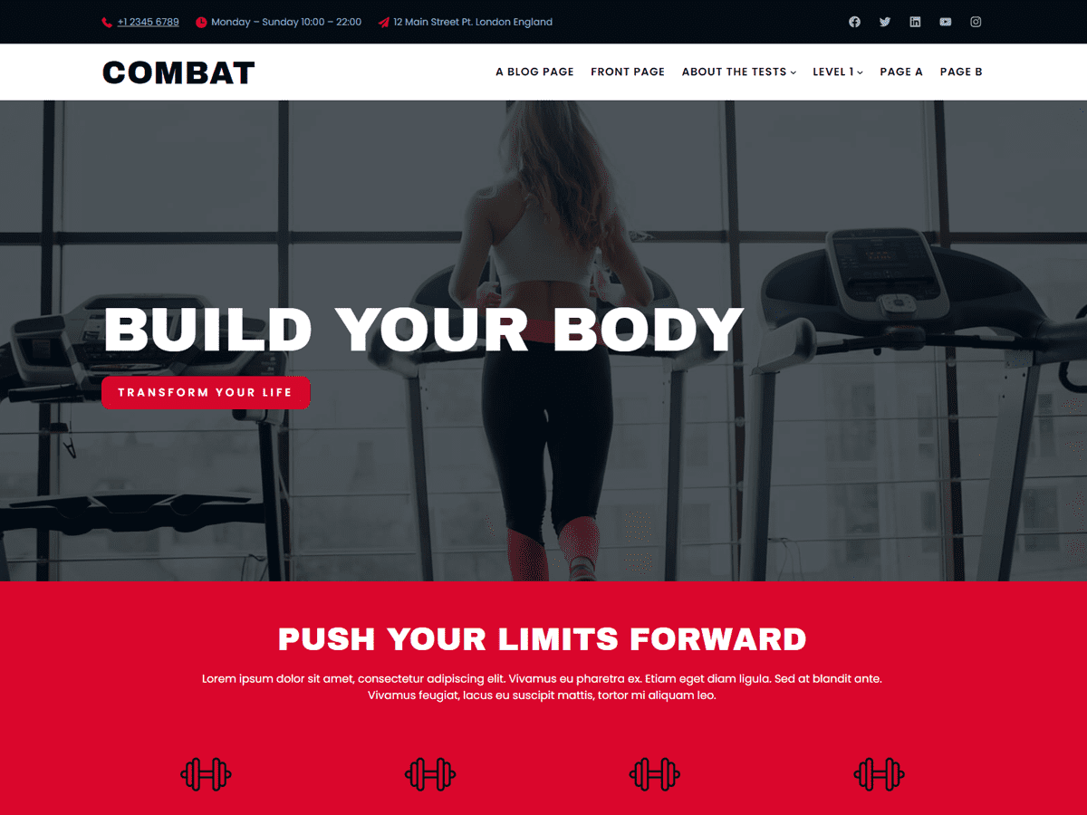 Combat WordPress 主题