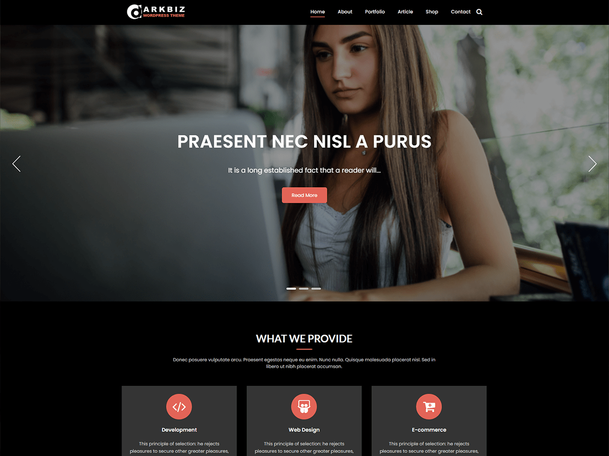 Darkbiz WordPress 主题