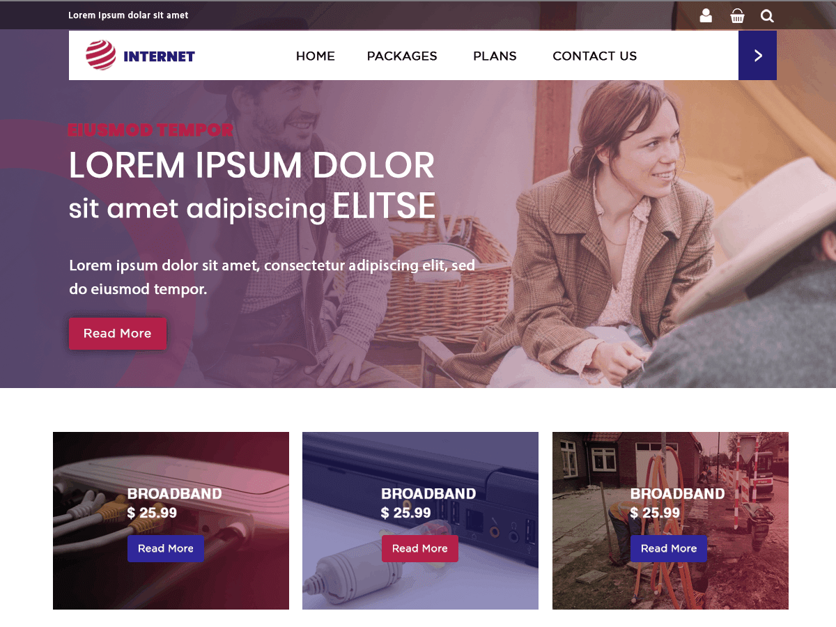 Internet Provider WordPress 主题