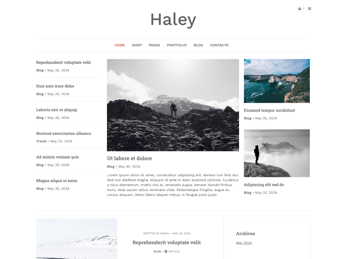 Haley WordPress 主题