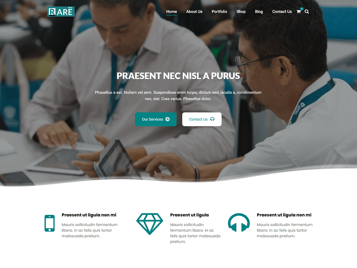 RareBiz WordPress 主题