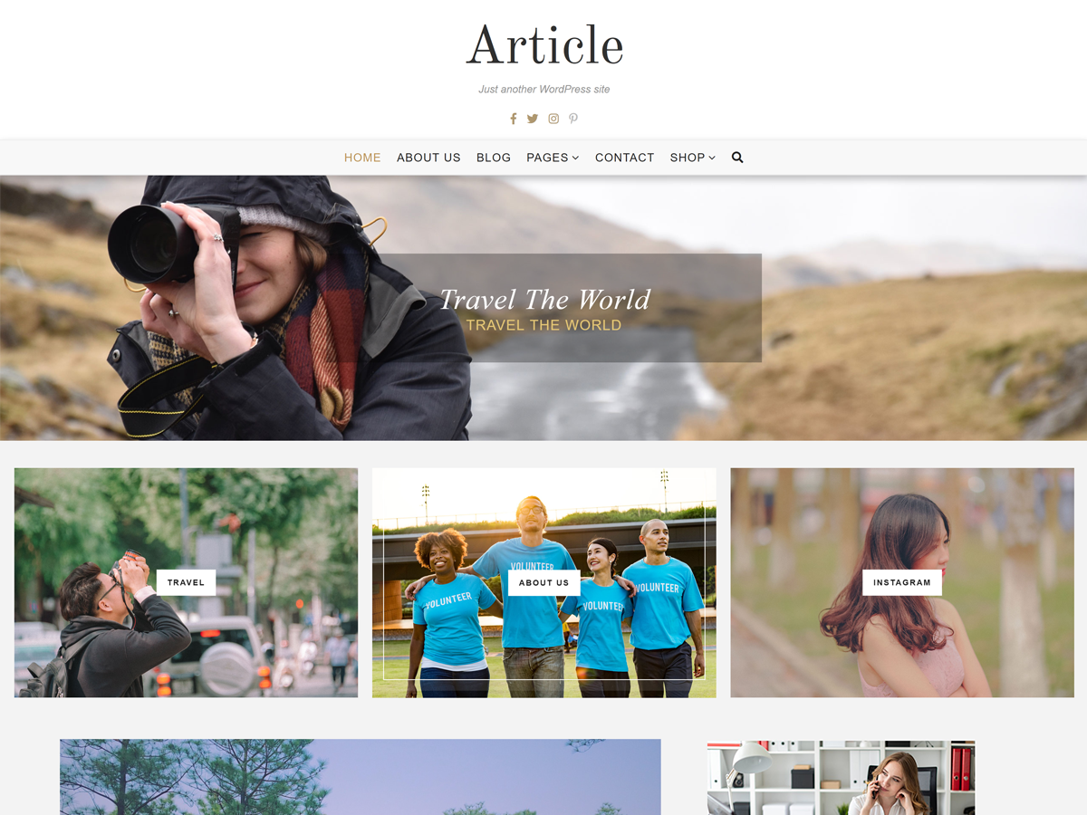 Article Lite WordPress 主题