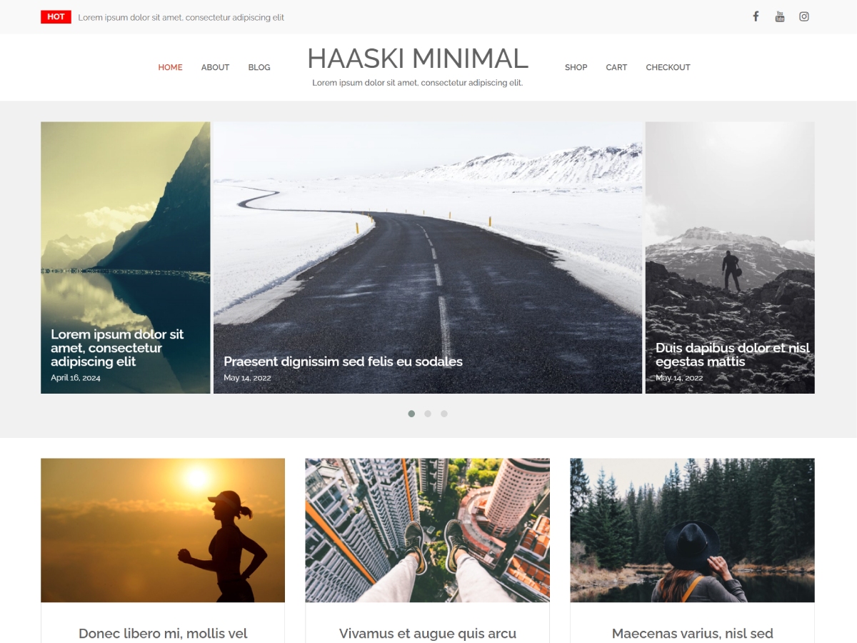 Haaski Minimal WordPress 主题