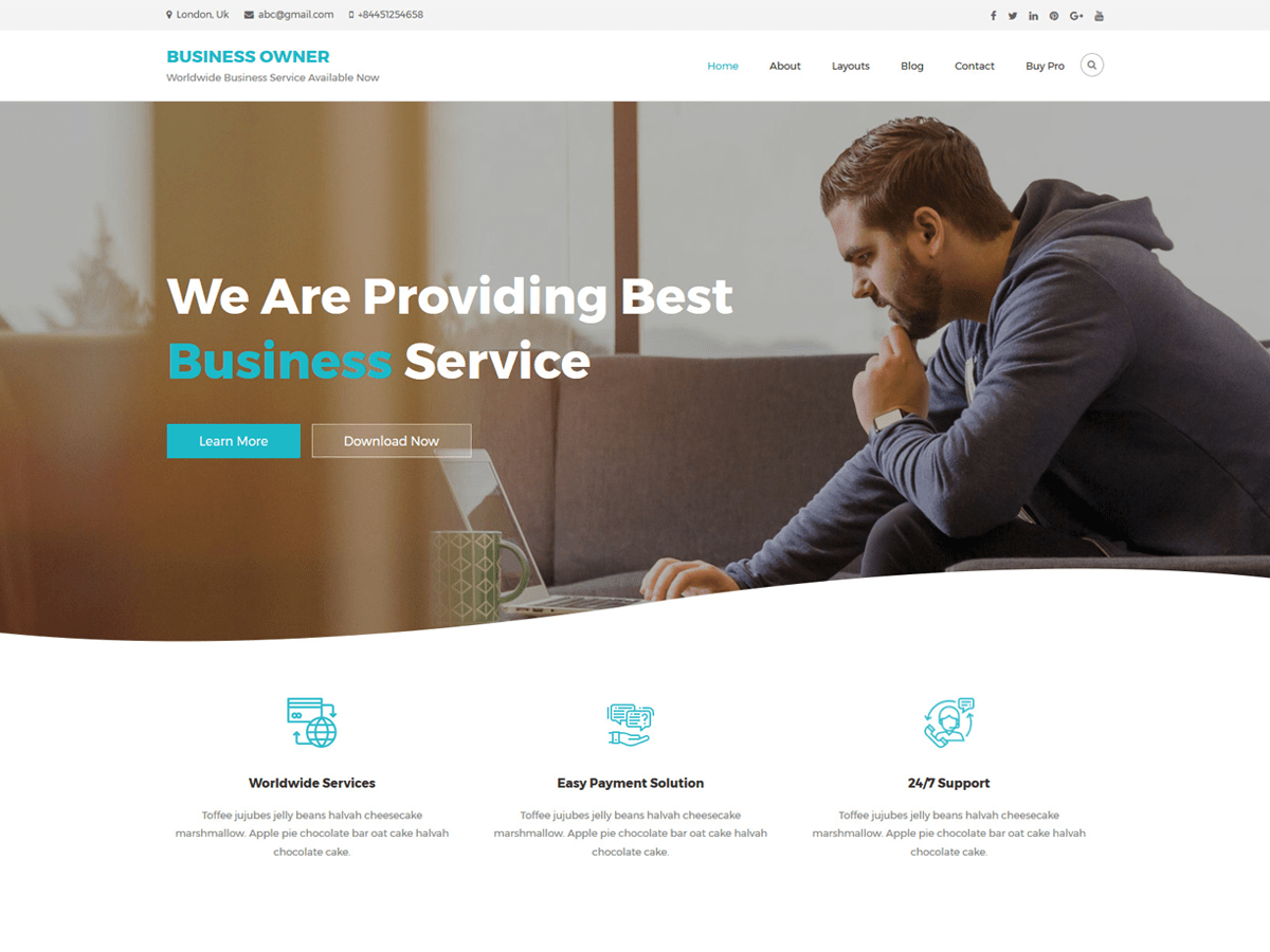 Business Owner WordPress 主题