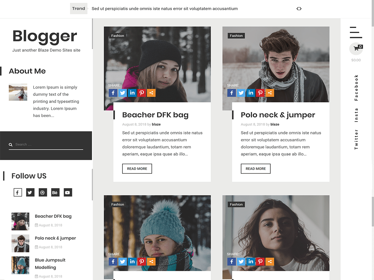 Styled Blog WordPress 主题