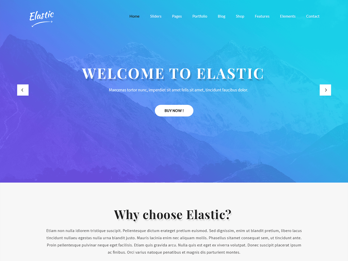 SKT Elastic WordPress 主题