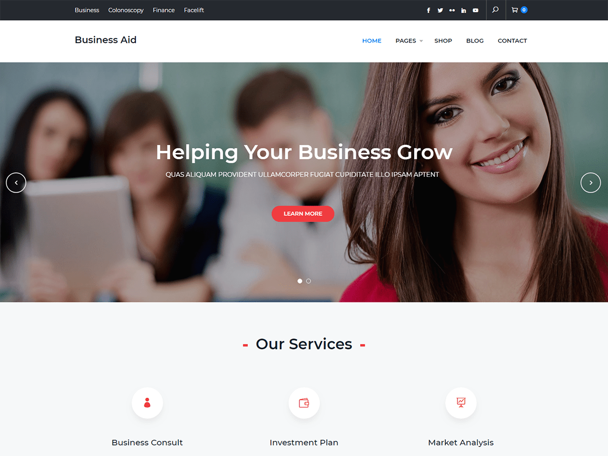 Business Aid WordPress 主题