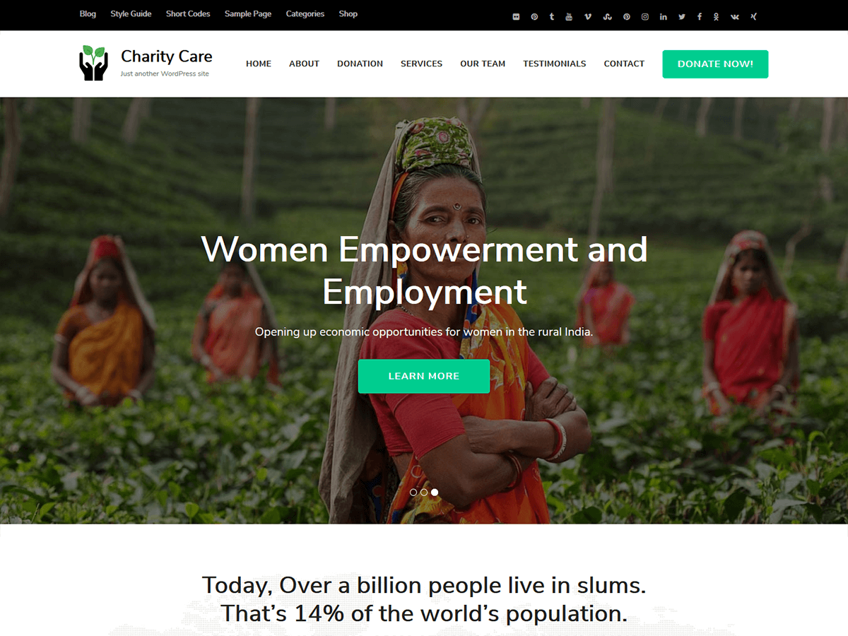Charity Care WordPress 主题