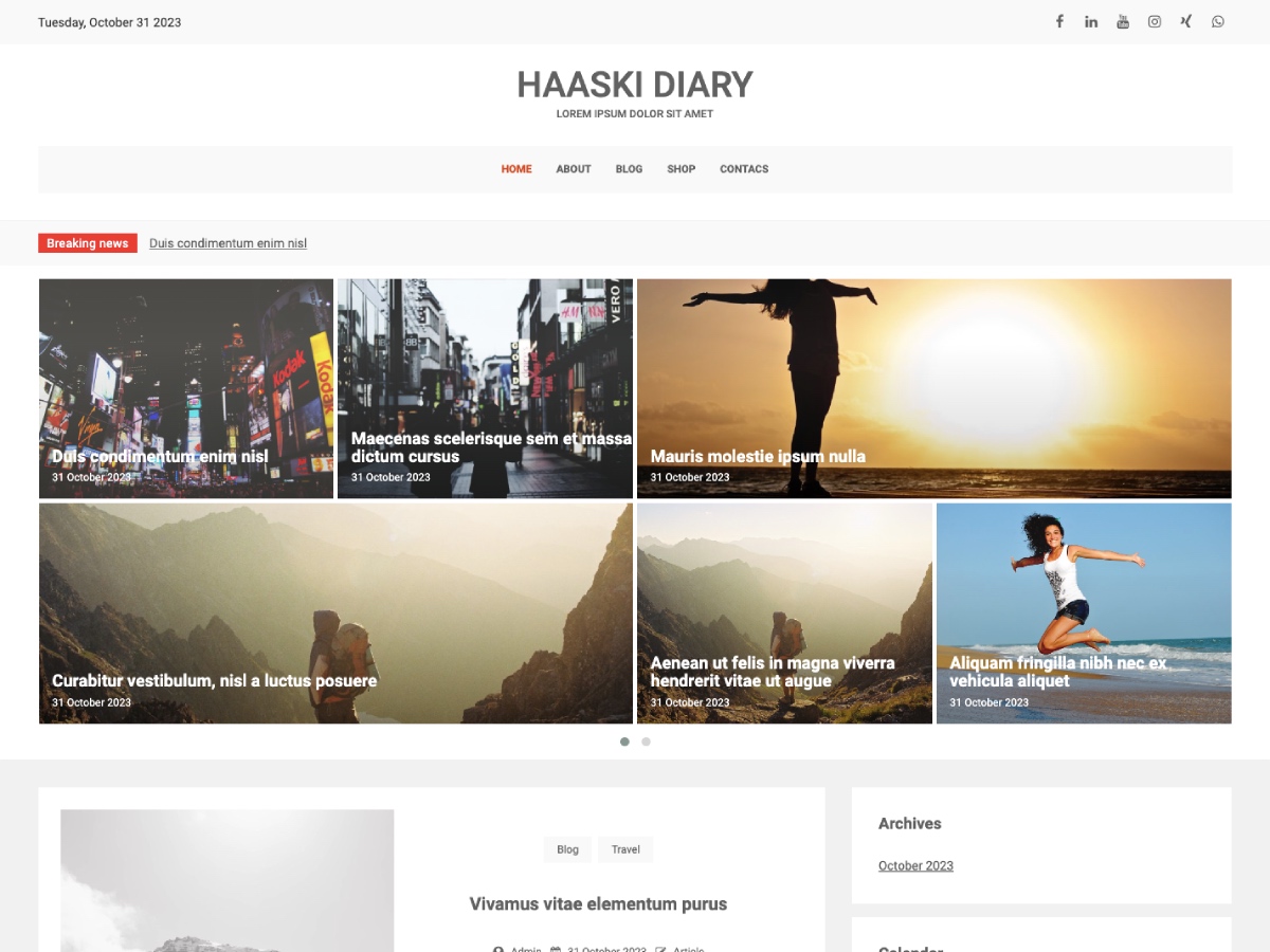 Haaski Diary WordPress 主题