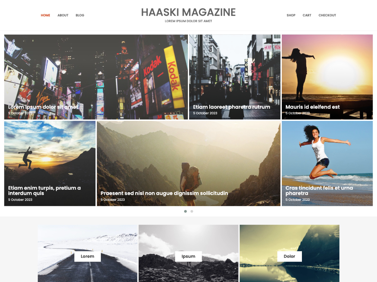 Haaski Magazine WordPress 主题