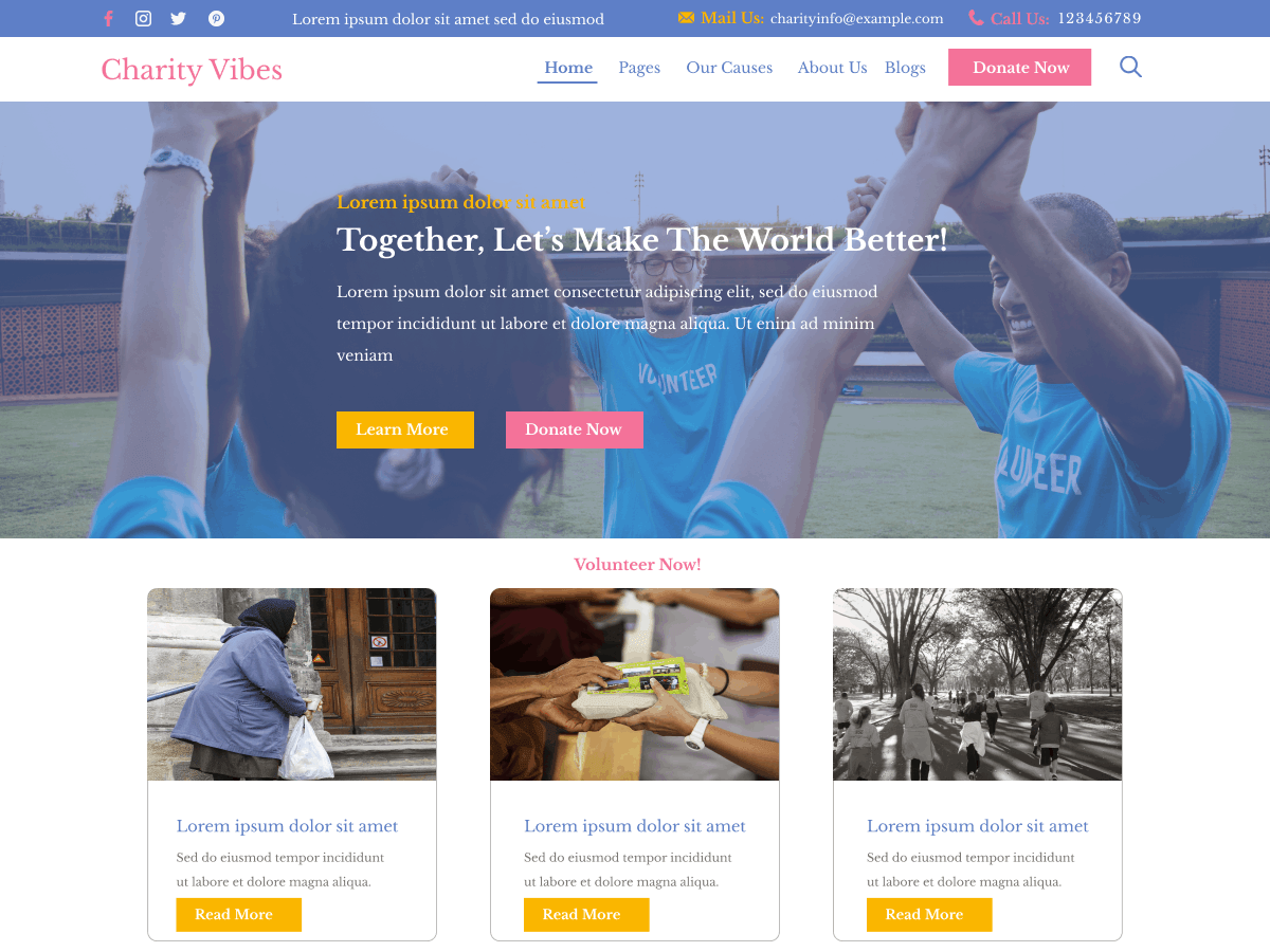 Charity Vibes WordPress 主题