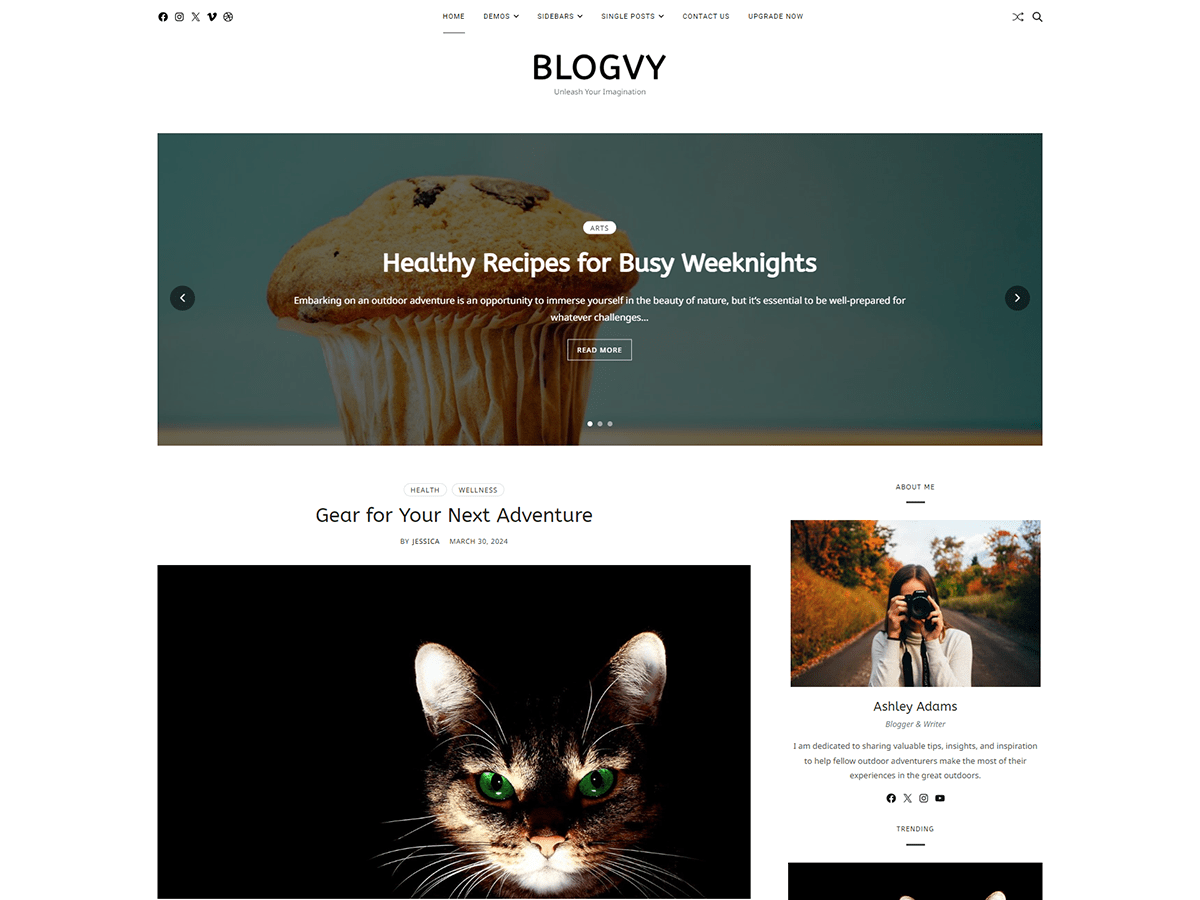 Blogvy WordPress 主题
