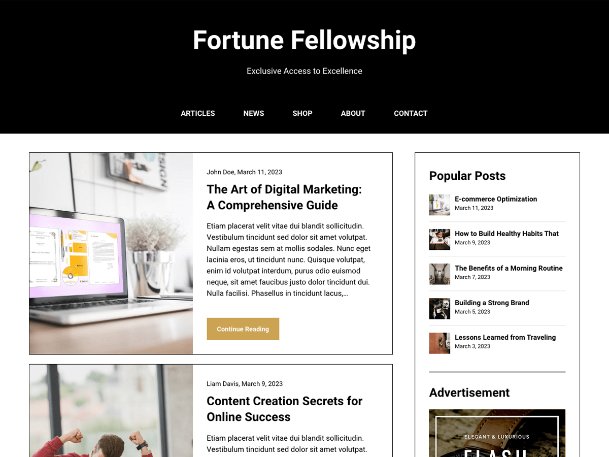 AffiliBlog WordPress 主题
