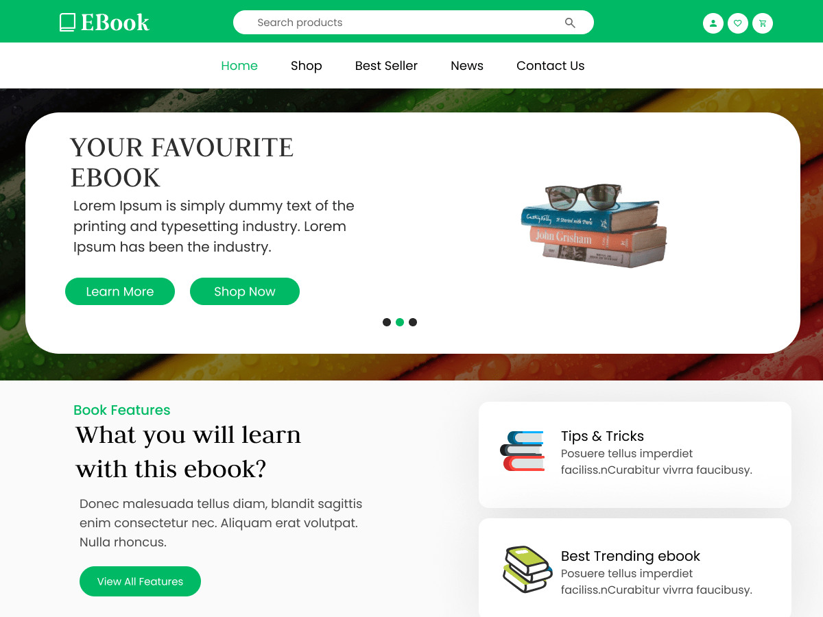 Ebooks Collection WordPress 主题