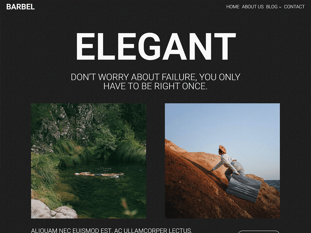 Barbel WordPress 主题