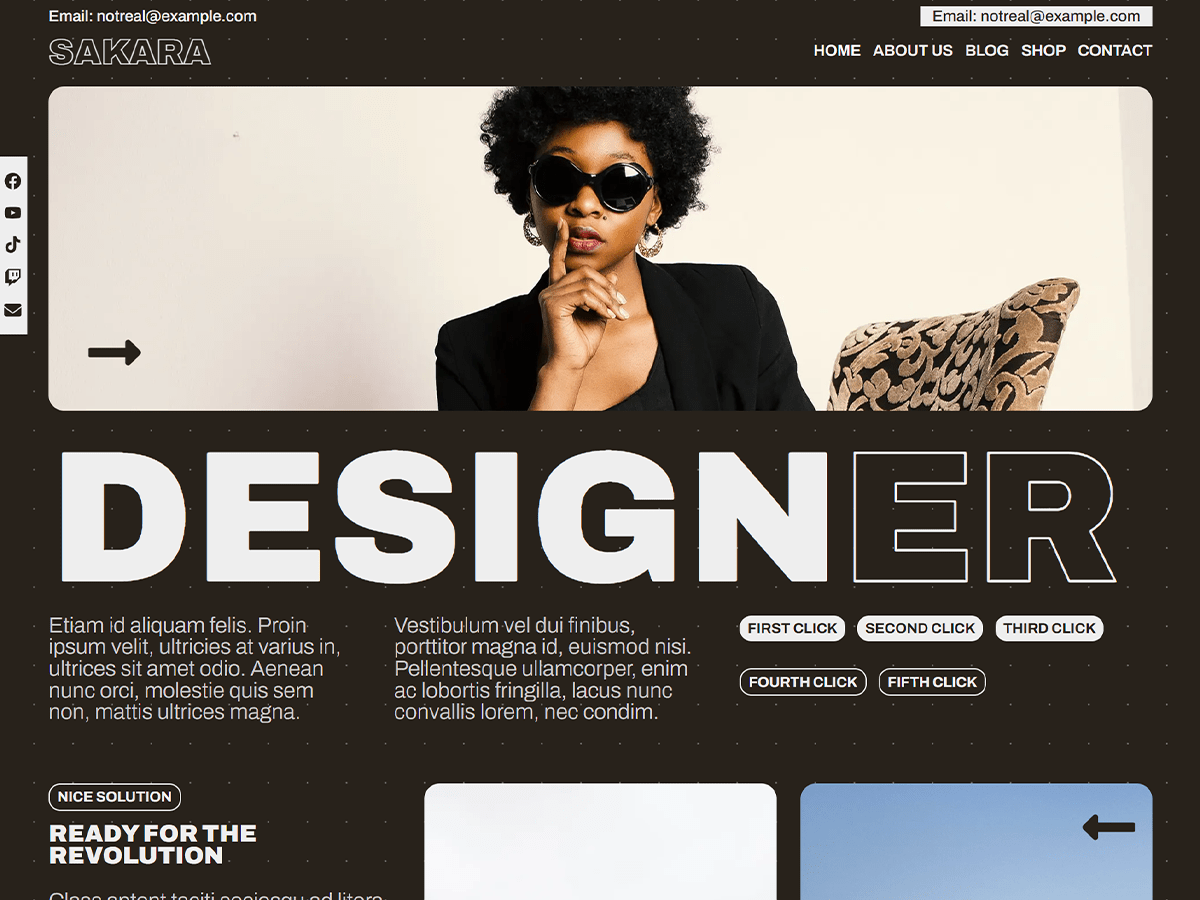 Sakara WordPress 主题