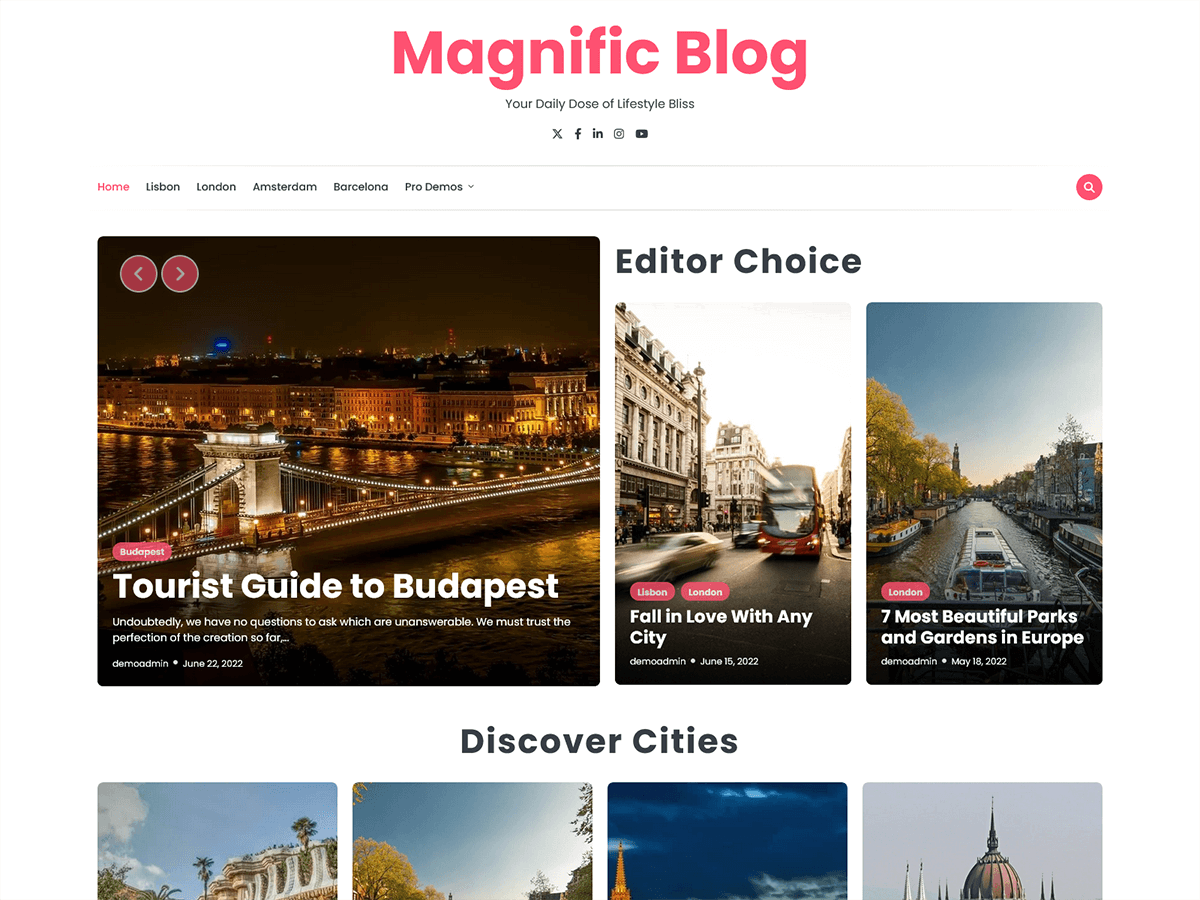 Magnific Blog WordPress 主题