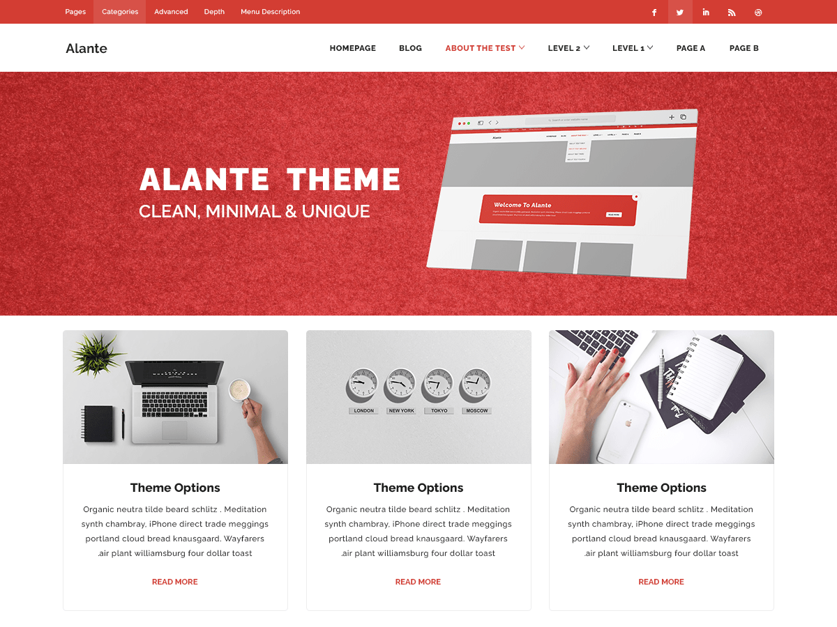 Alante Biz WordPress 主题