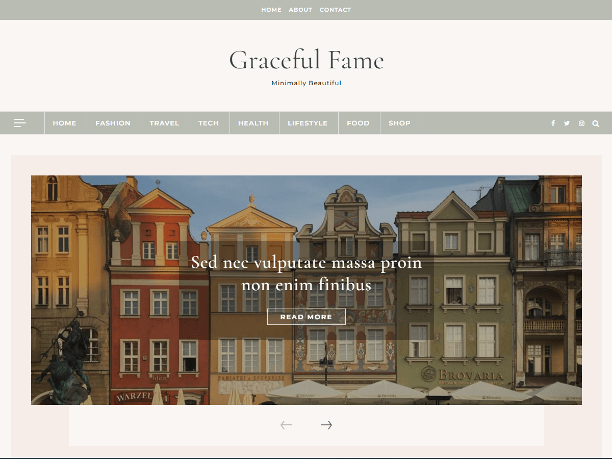Graceful Fame Blog WordPress 主题