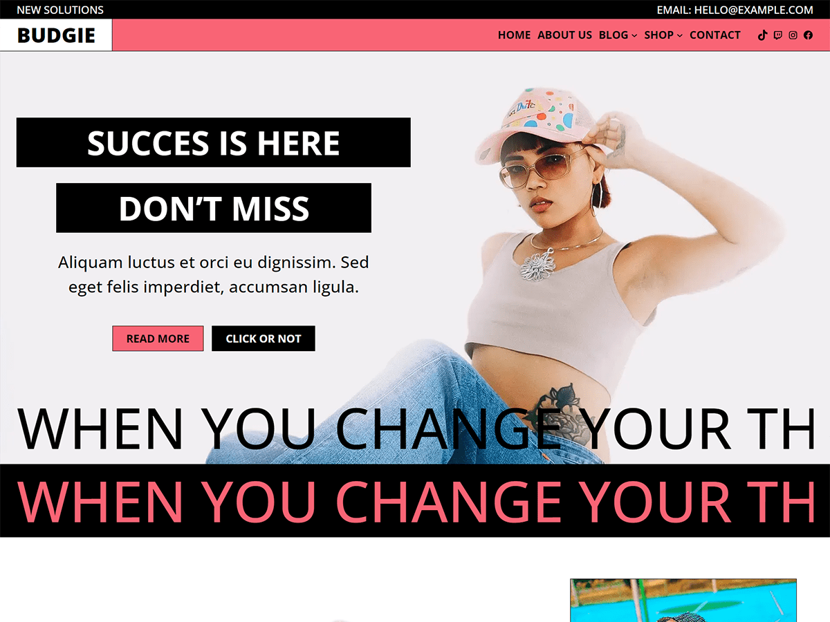Budgie WordPress 主题