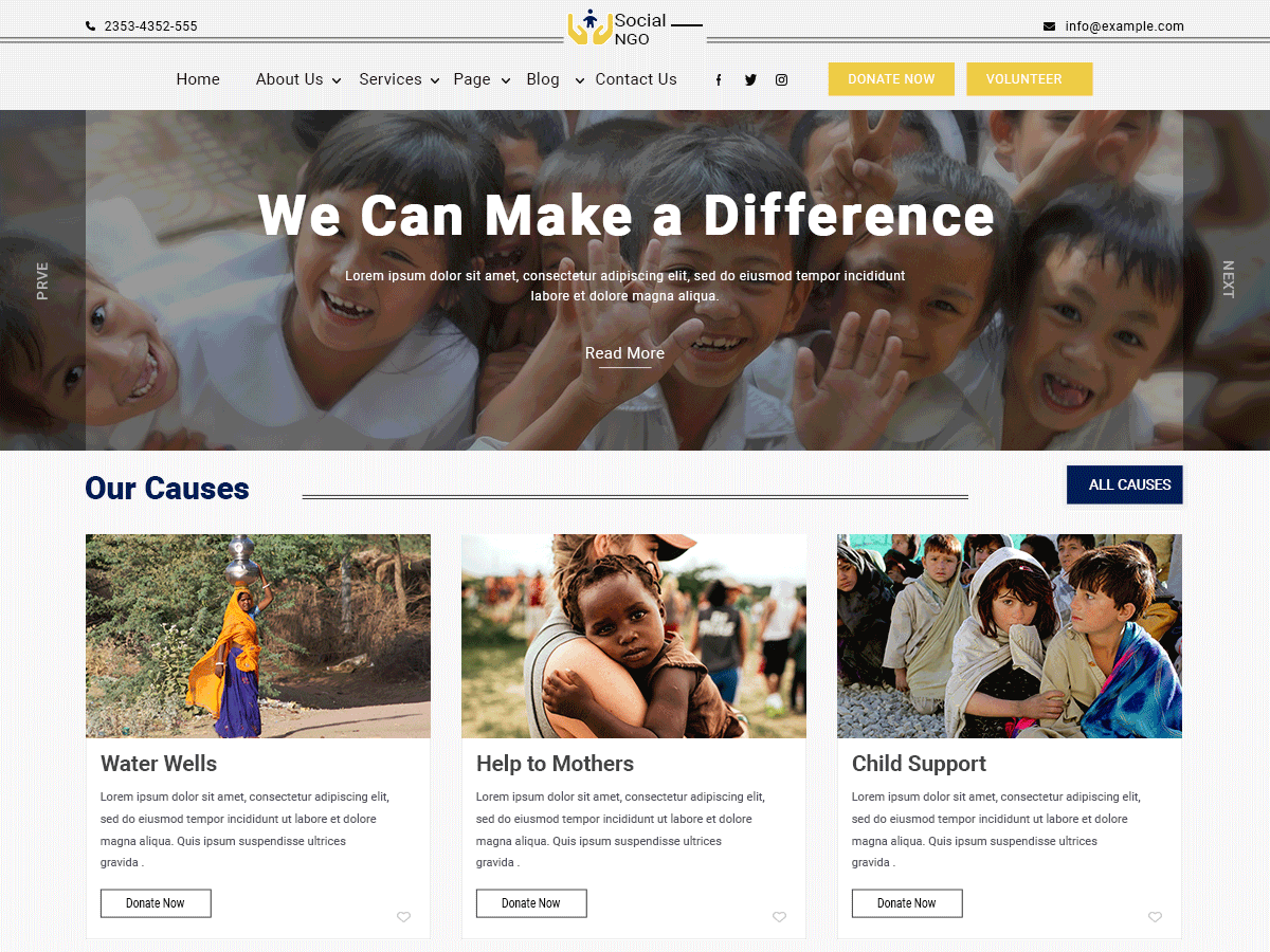Social NGO WordPress 主题