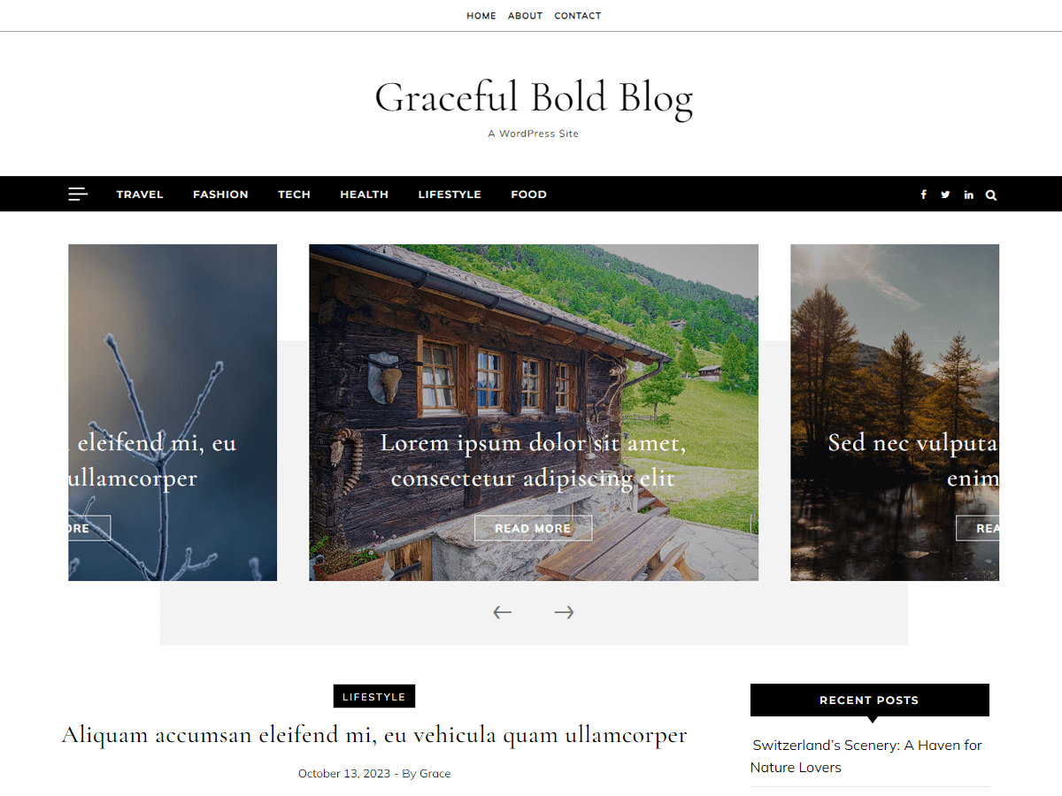 Graceful Bold Blog WordPress 主题