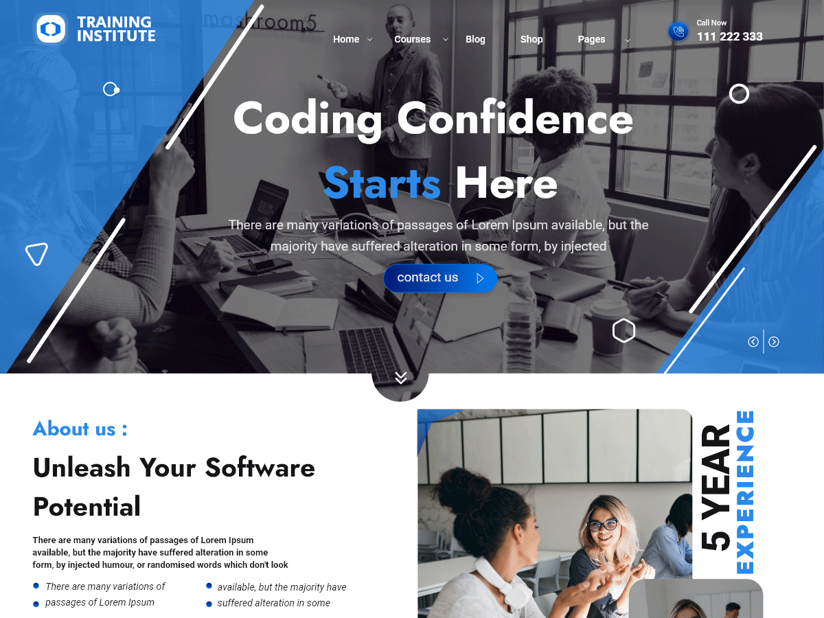 Coaching Institute WordPress 主题