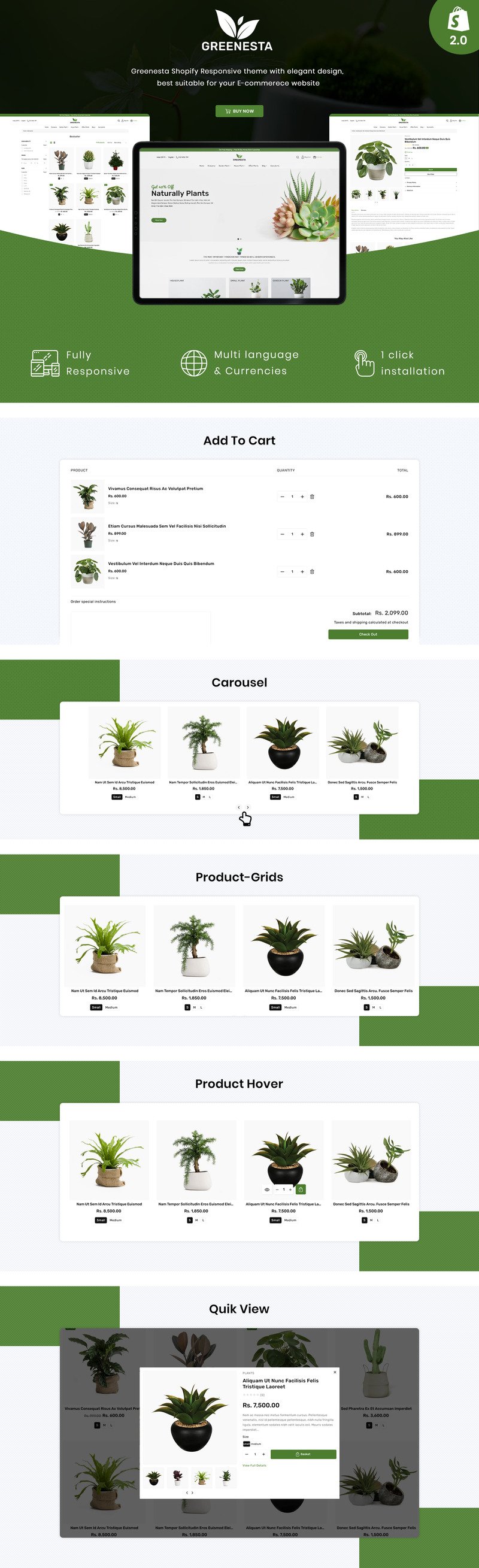 Greenesta Organic - 园艺和植物商店 Shopify 主题