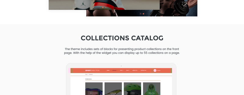 运动方向-体育用品商店Shopify主题 #67399