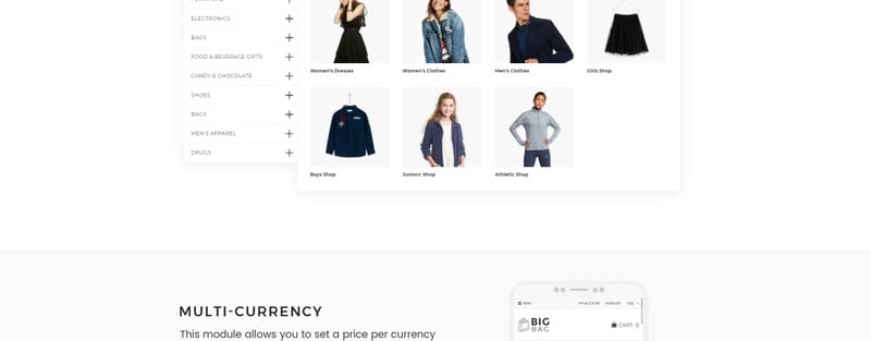 大袋-批发商店Shopify主题 #66938